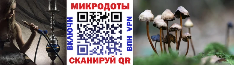 Псилоцибиновые грибы ЛСД  блэк спрут tor  Камышлов  где найти  