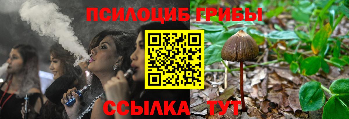 Псилоцибиновые грибы GOLDEN TEACHER Камышлов