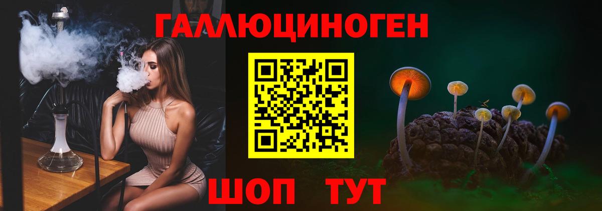 Галлюциногенные грибы Psilocybine cubensis  Вход с VPN  Камышлов 