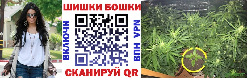 Бошки Шишки гибрид Камышлов